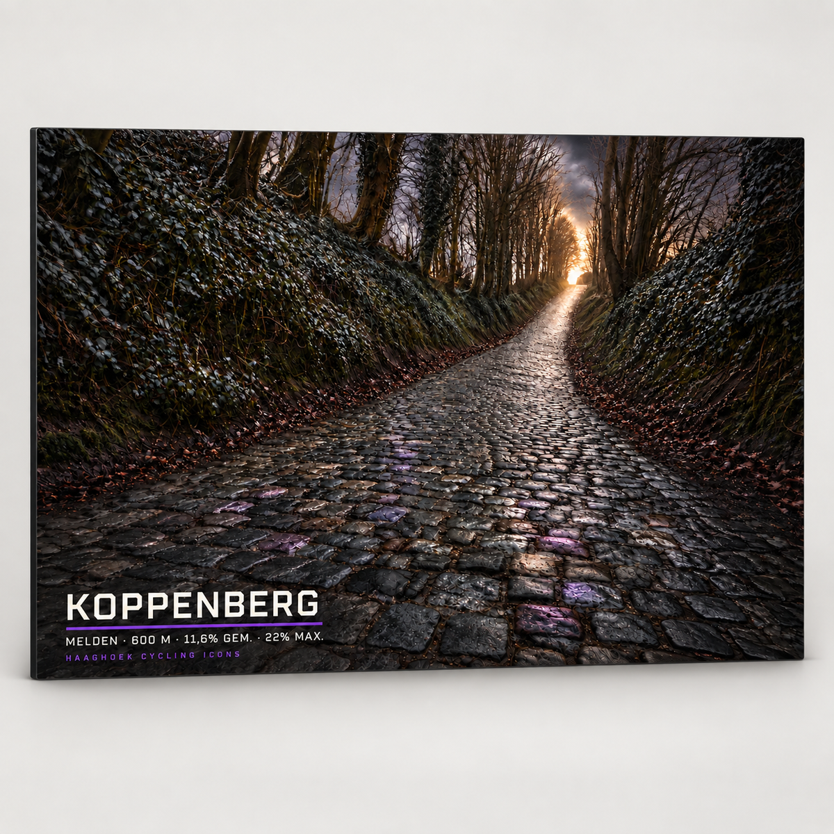 Koppenberg Cycling Icon – Wielerkunst op Dibond