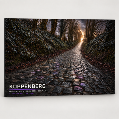 Koppenberg Cycling Icon – Wielerkunst op Dibond
