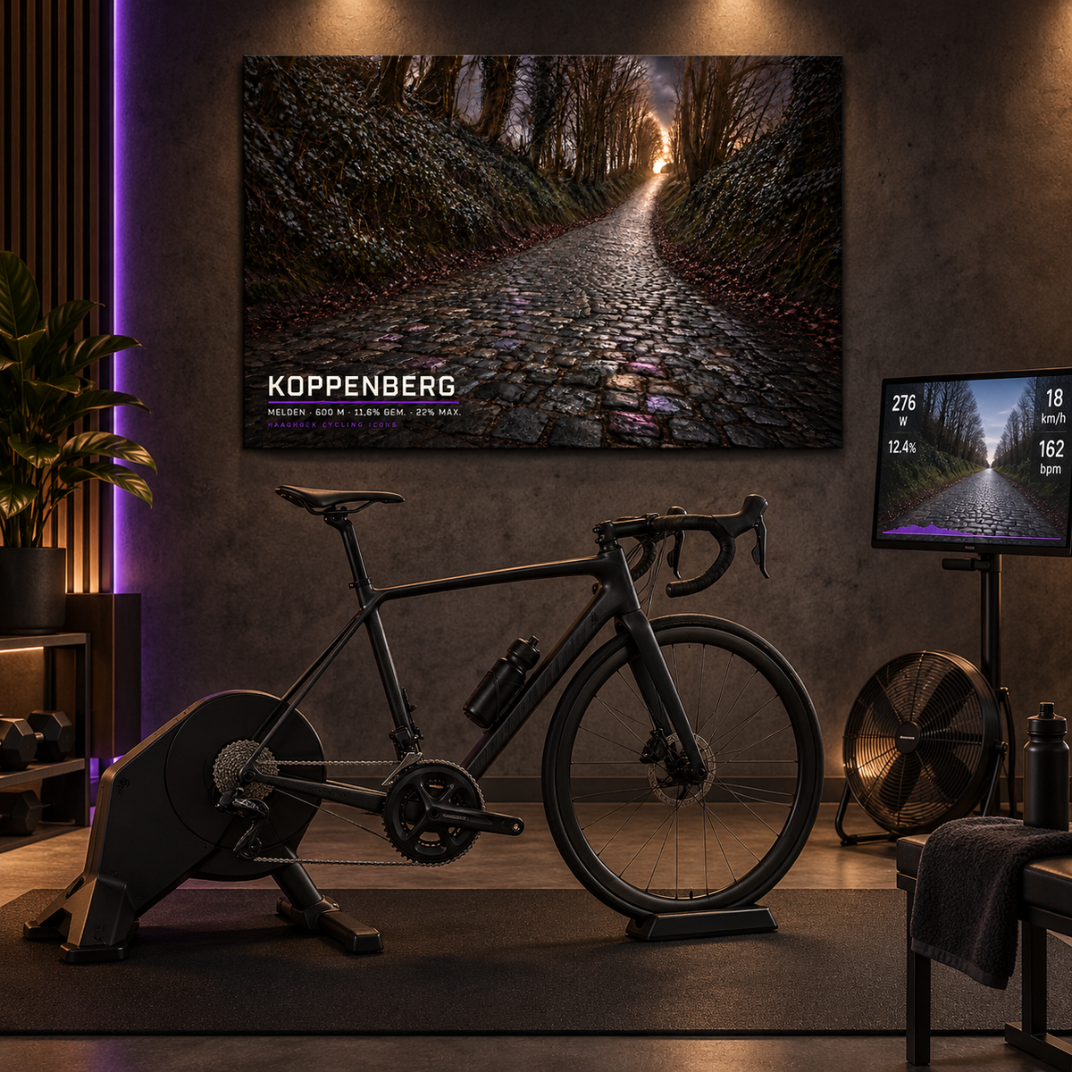 Koppenberg Cycling Icon – Wielerkunst op Dibond