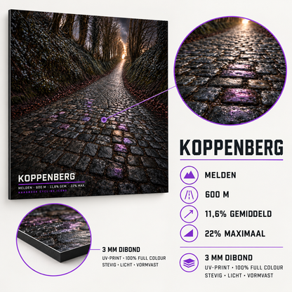 Koppenberg Cycling Icon – Wielerkunst op Dibond