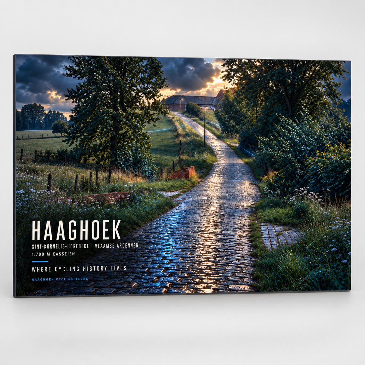 Haaghoek Cycling Icon – Wielerkunst op Dibond