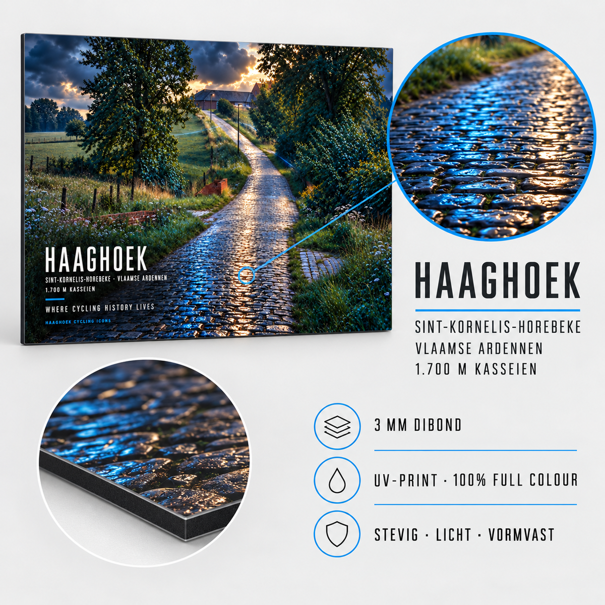 Haaghoek Cycling Icon – Wielerkunst op Dibond