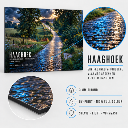 Haaghoek Cycling Icon – Wielerkunst op Dibond