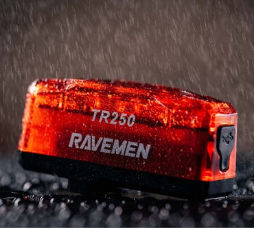 TR250 Achterlicht