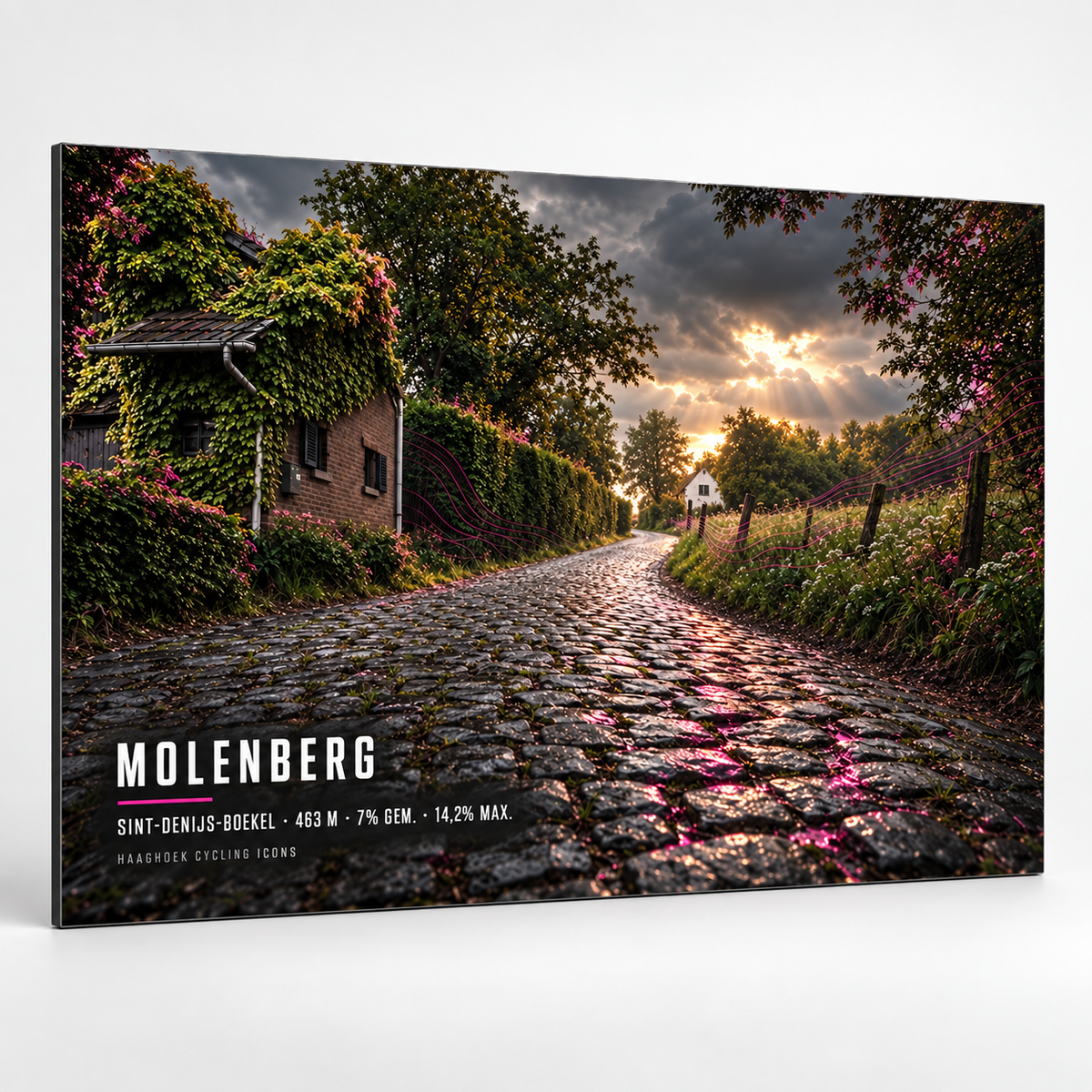 Molenberg Cycling Icon – Wielerkunst op Dibond
