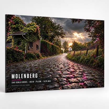 Molenberg Cycling Icon – Wielerkunst op Dibond