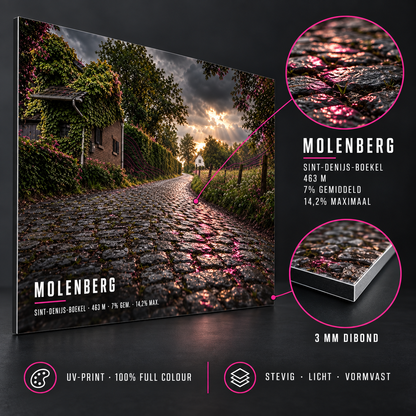 Molenberg Cycling Icon – Wielerkunst op Dibond