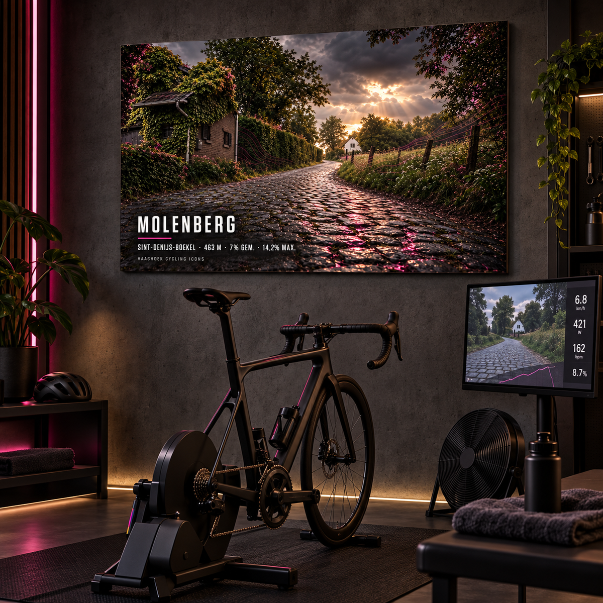 Molenberg Cycling Icon – Wielerkunst op Dibond