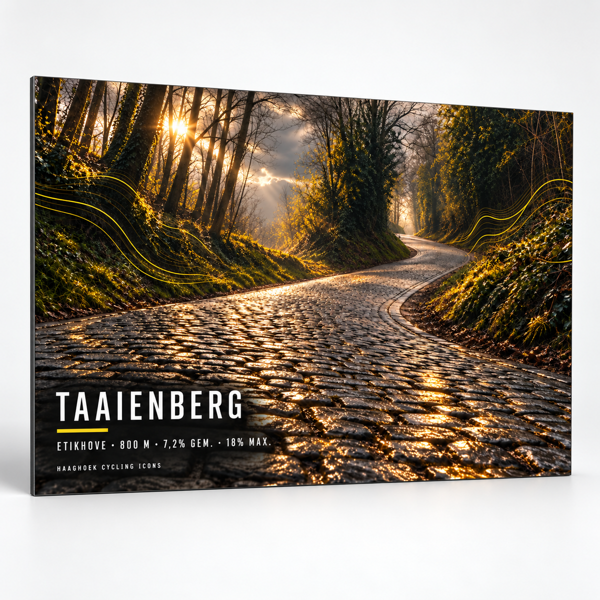 Taaienberg Cycling Icon – Wielerkunst op Dibond