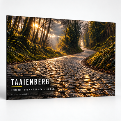 Taaienberg Cycling Icon – Wielerkunst op Dibond