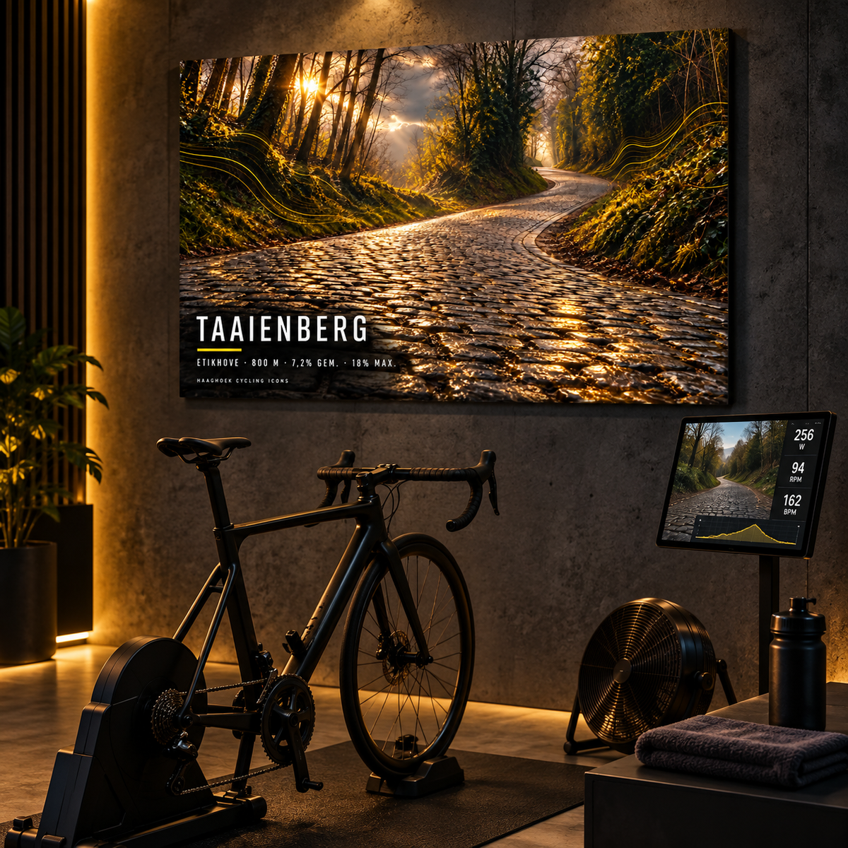 Taaienberg Cycling Icon – Wielerkunst op Dibond