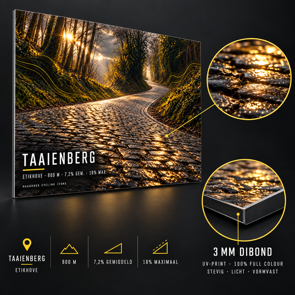 Taaienberg Cycling Icon – Wielerkunst op Dibond